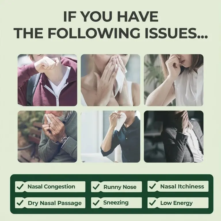 Healrize® BioActive Herbal Sinus Mist - Sinus & Hay Fever Relief Spray