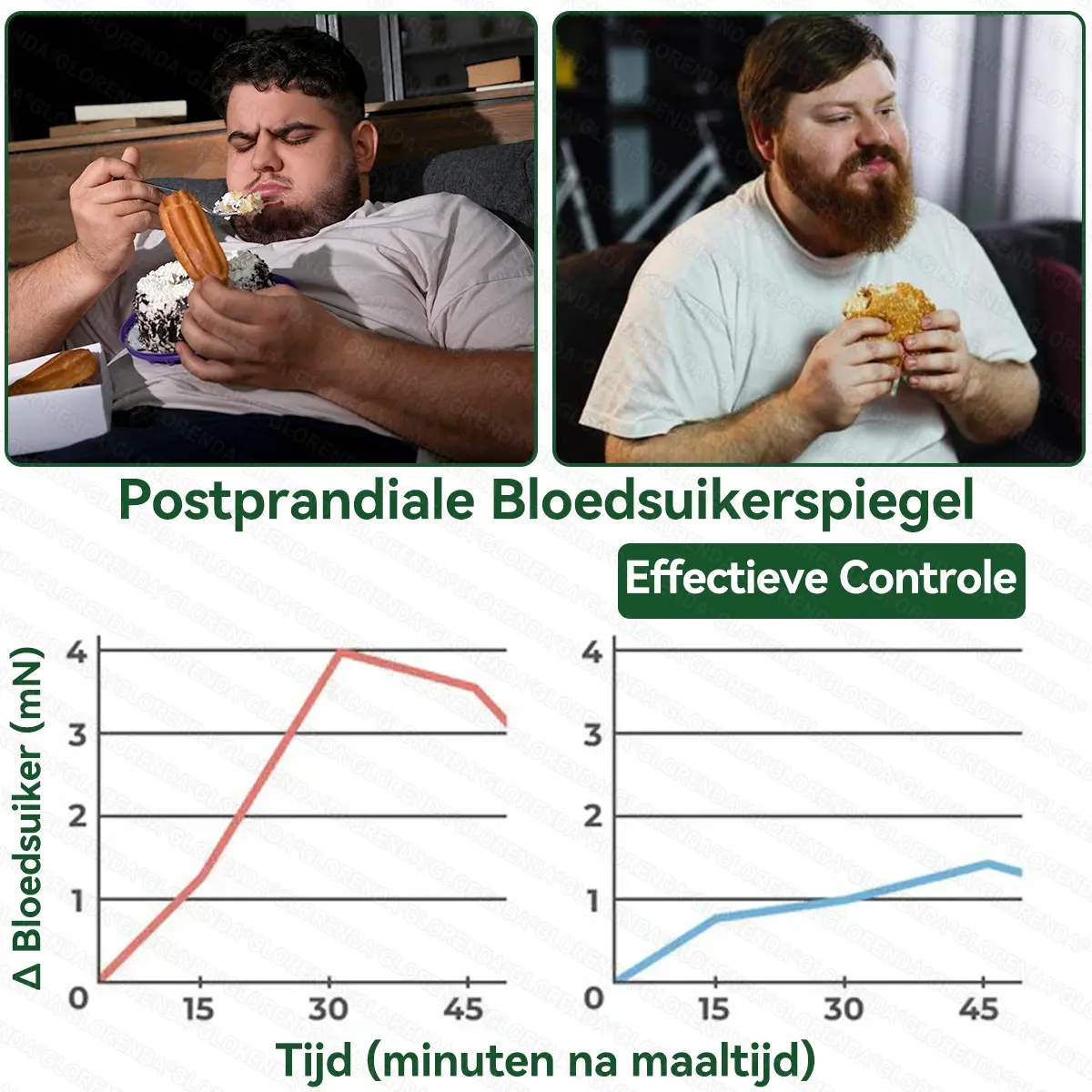 ๐๐๐๐ฅ๐ซ๐ข๐ณ๐ยฎ Moringa ยท Berberine + NAD+ โ 12-in-1 Geavanceerde Nano Micronaald Patch