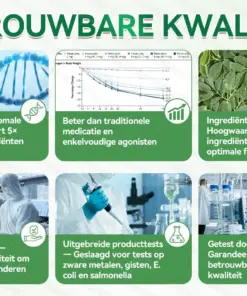 ๐๐๐๐ฅ๐ซ๐ข๐ณ๐ยฎ Moringa ยท Berberine + NAD+ โ 12-in-1 Geavanceerde Nano Micronaald Patch