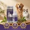 Healrizeยฎ Herbal Pet Ear Drops