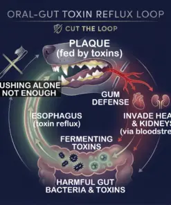 Healrize® Pet Dental & Digestive Health Oral Liquid