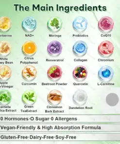 Healrize®7-Day Herbal Nanoneedle Shaping Patch™ Addressing Obesity, Diabetes, High blood pressure, and Sleep apnea Issues