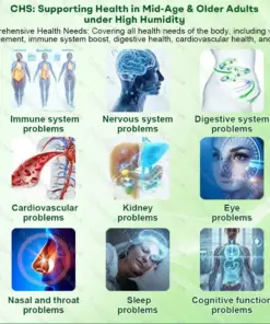 Healrize®7-Day Herbal Nanoneedle Shaping Patch™ Addressing Obesity, Diabetes, High blood pressure, and Sleep apnea Issues