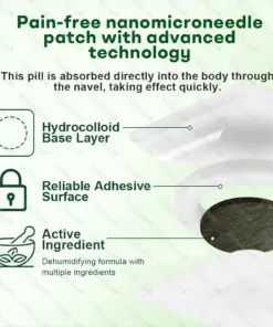 Healrize®7-Day Herbal Nanoneedle Shaping Patch™ Addressing Obesity, Diabetes, High blood pressure, and Sleep apnea Issues