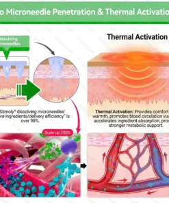 Healrize®7-Day Herbal Nanoneedle Shaping Patch™ Addressing Obesity, Diabetes, High blood pressure, and Sleep apnea Issues