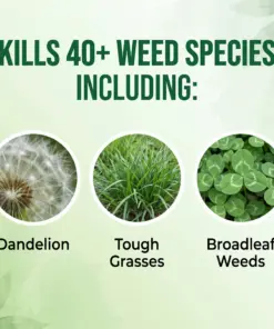 Healrize® 2-in-1 Max Strength Herbicide