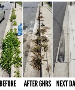 Healrize® 2-in-1 Max Strength Herbicide