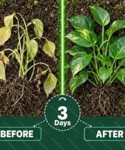 Healrize® Plant Fertilizer Liquid Plant Food Concentrate