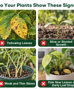Healrize® Plant Fertilizer Liquid Plant Food Concentrate
